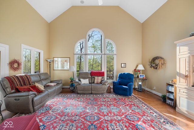 6821 Ripple Creek Dr, Lafayette, IN 47905 - living room featuring high vaulted ceiling, baseboards, and light wood finished floors