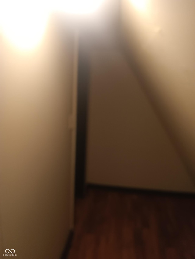 additional living space featuring dark wood-style flooring and lofted ceiling