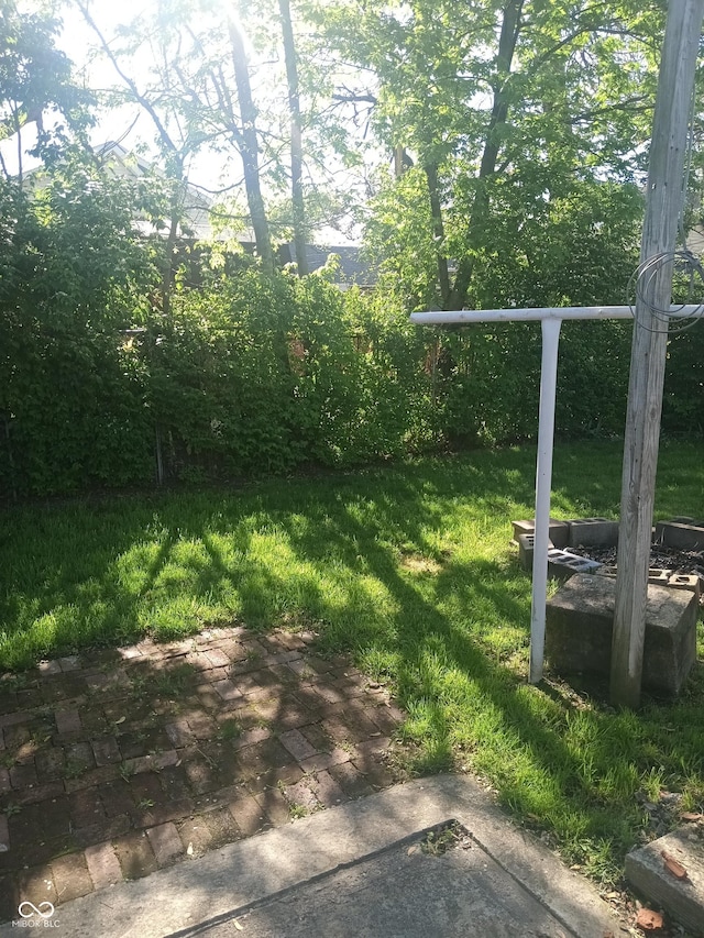 view of yard