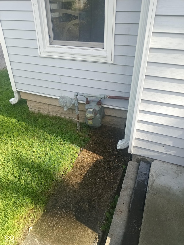 exterior details with gas meter