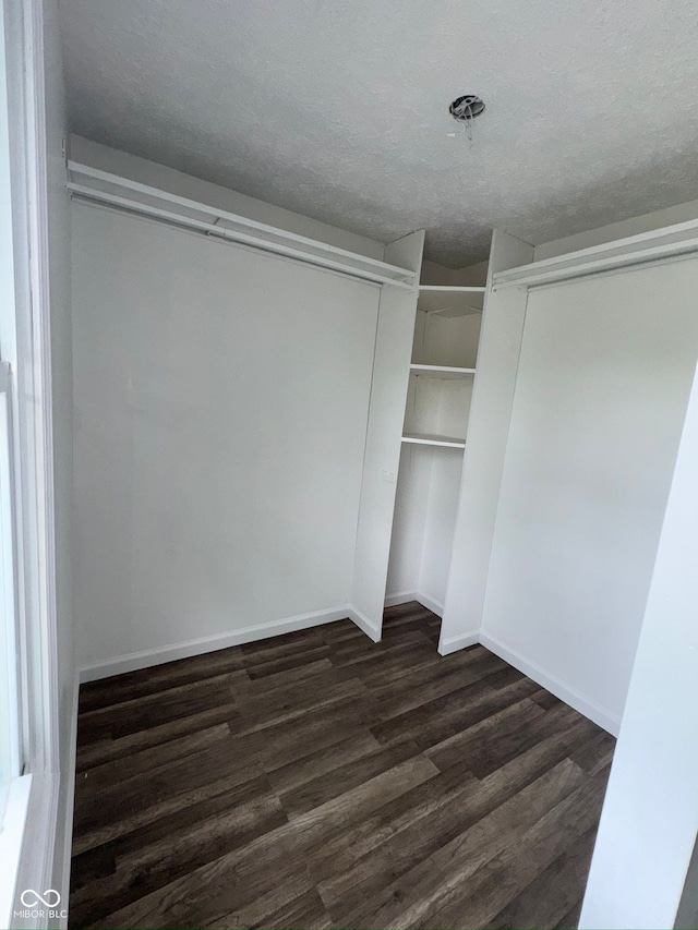 spacious closet with dark wood finished floors