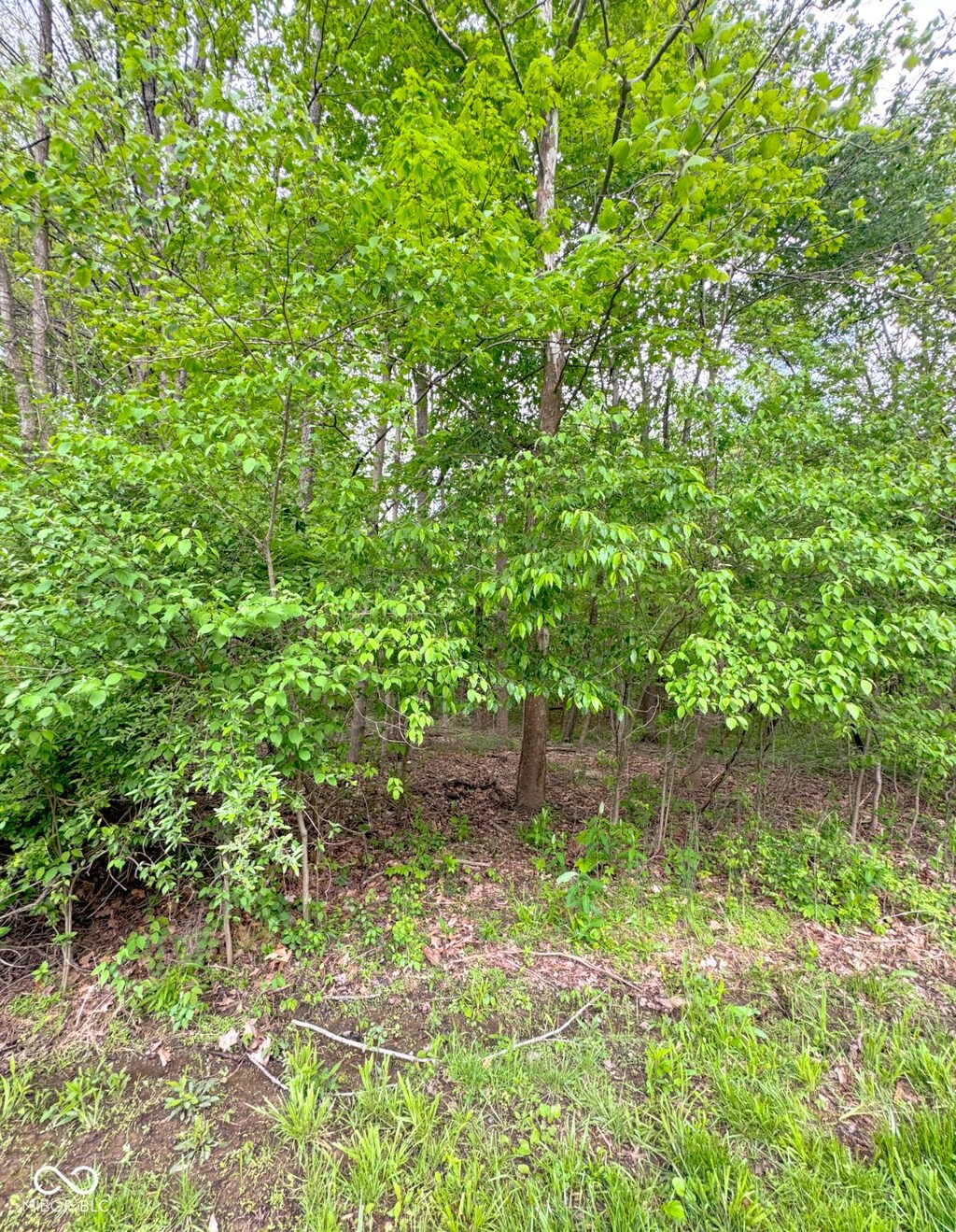 1555 Fox Cross Dr, Martinsville, IN 46151 - photo 2