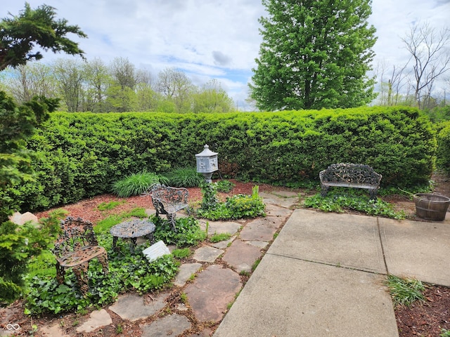 9909 E Mcgregor Rd, Indianapolis, IN 46259 - view of yard
