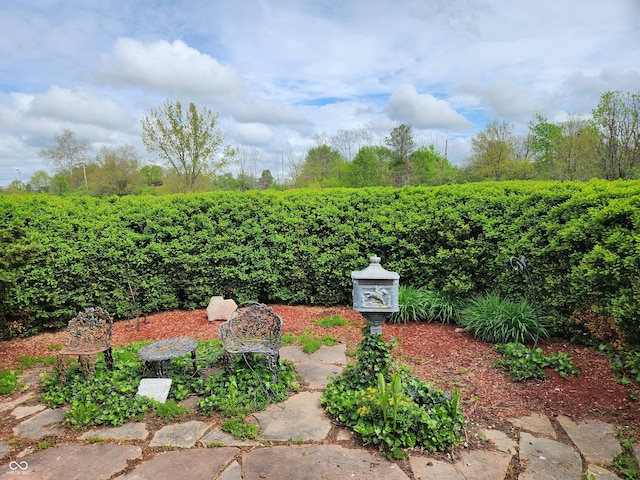 9909 E Mcgregor Rd, Indianapolis, IN 46259 - view of yard