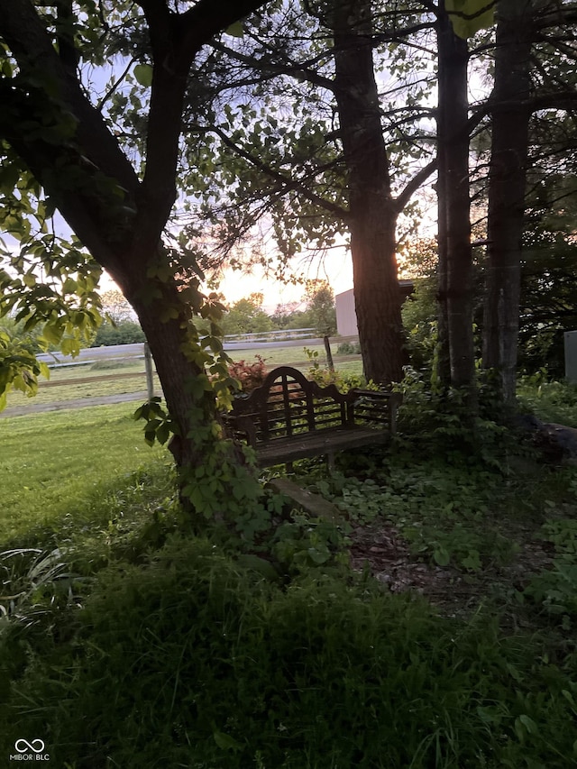 9909 E Mcgregor Rd, Indianapolis, IN 46259 - view of yard