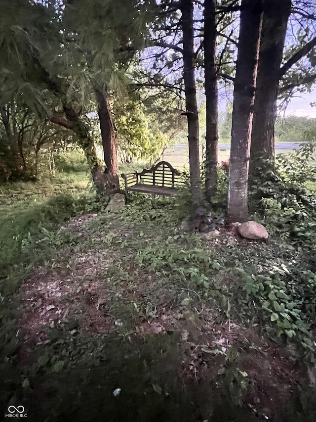 9909 E Mcgregor Rd, Indianapolis, IN 46259 - view of yard
