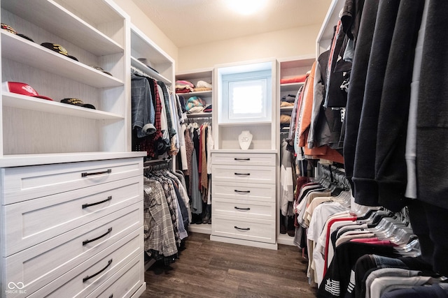 walk in closet featuring dark wood-type flooring