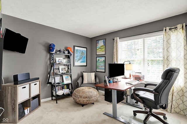 office featuring carpet flooring, baseboards, and a textured ceiling