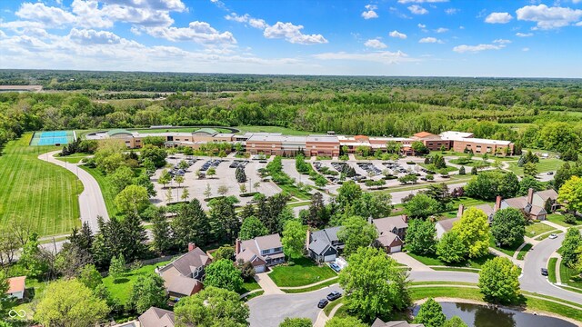 aerial view of a forest