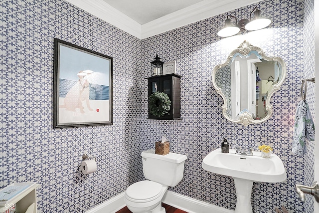 bathroom featuring crown molding, toilet, and a sink