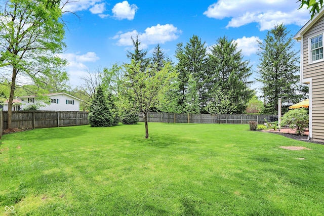 view of yard