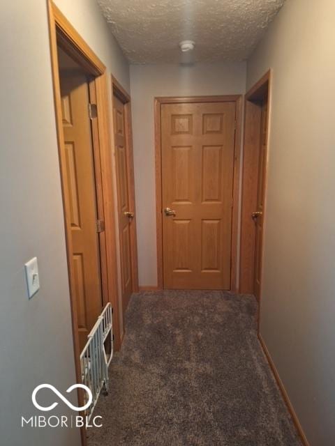 781 Northern Acres Dr, Ladoga, IN 47954 - photo 10