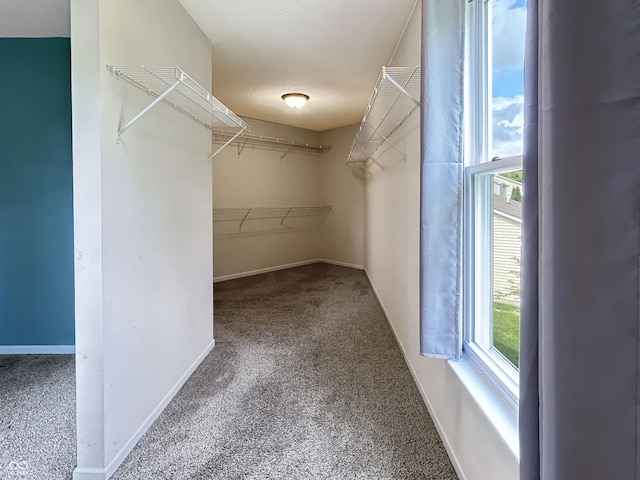 625 Streamside Dr, Greenfield, IN 46140 - spacious closet with carpet