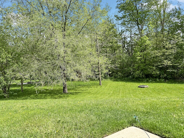 625 Streamside Dr, Greenfield, IN 46140 - view of green lawn