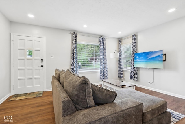 living room with recessed lighting, baseboards, and wood finished floors