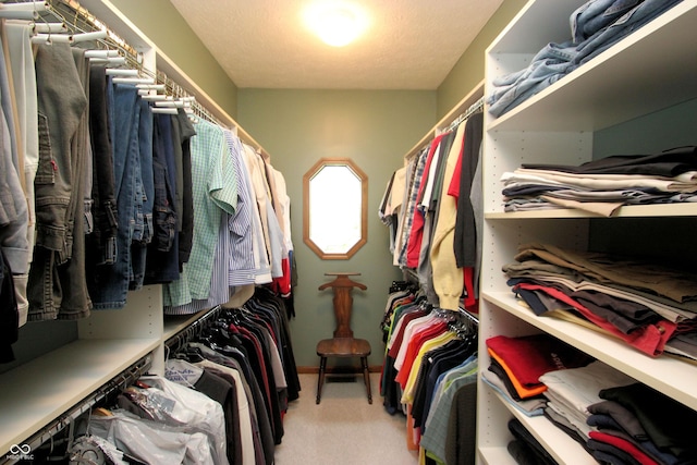 spacious closet with light colored carpet