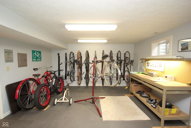 garage with baseboards and electric panel