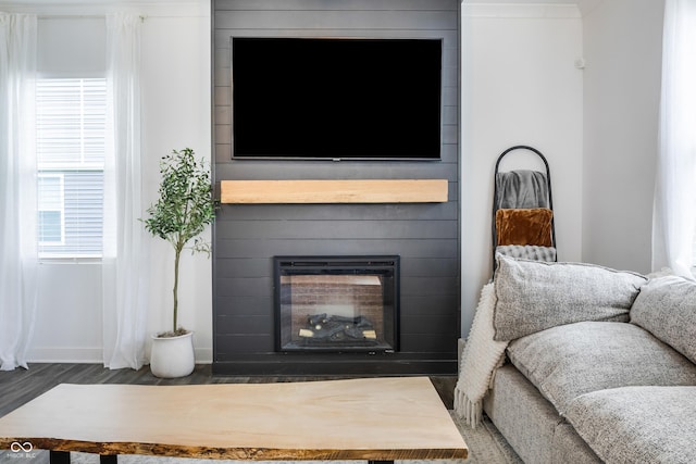 living area featuring a fireplace, baseboards, and wood finished floors