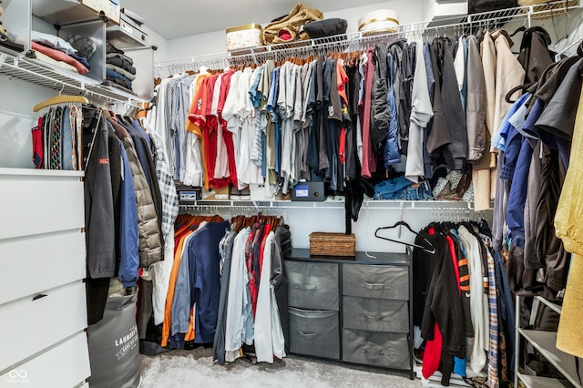 view of walk in closet
