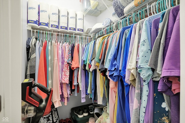 view of spacious closet