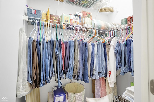 view of spacious closet