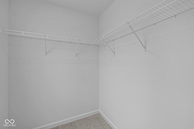 6219 Medina Spirit Dr, Indianapolis, IN 46237 - walk in closet with carpet
