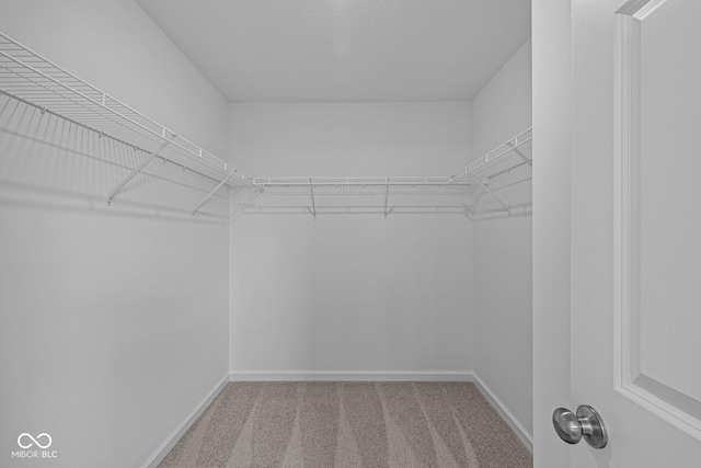 6219 Medina Spirit Dr, Indianapolis, IN 46237 - spacious closet with carpet floors