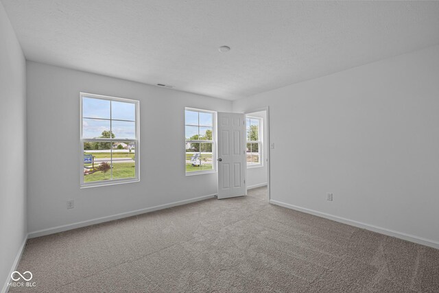 6219 Medina Spirit Dr, Indianapolis, IN 46237 - spare room with baseboards and carpet flooring