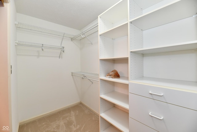 10713 Stable Dr, Indianapolis, IN 46239 - spacious closet with light colored carpet