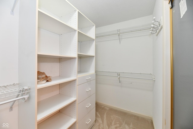 10713 Stable Dr, Indianapolis, IN 46239 - spacious closet featuring light colored carpet