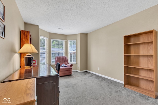 carpeted office space with a textured ceiling and baseboards