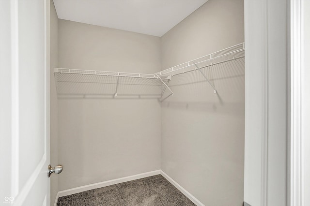spacious closet with carpet