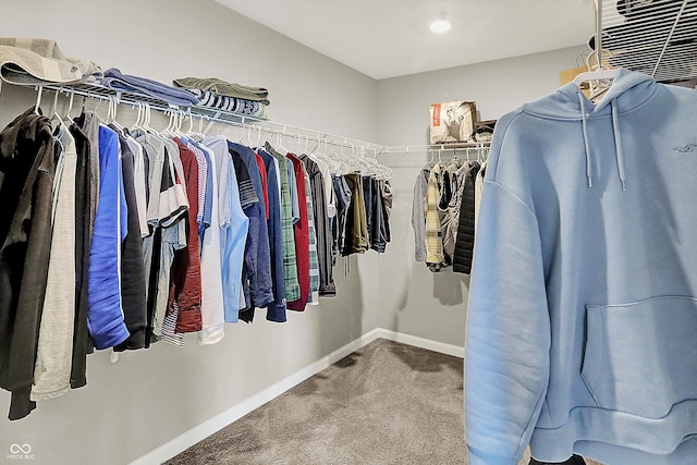 walk in closet featuring carpet