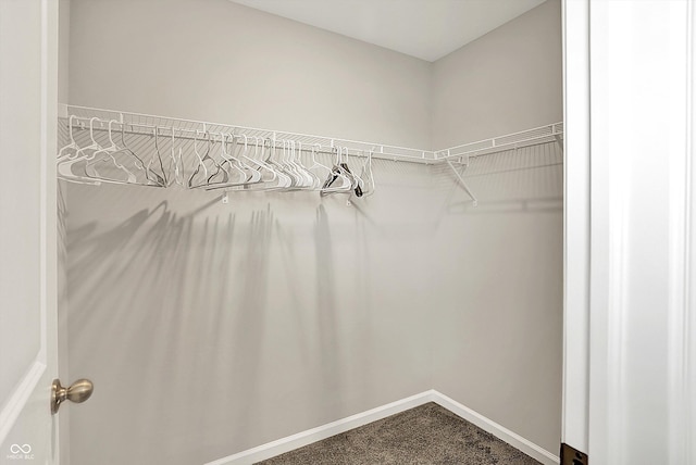 spacious closet with dark carpet