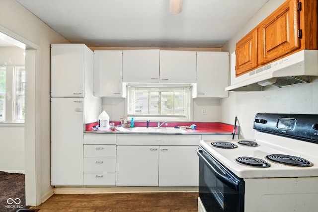 1235 N Grant Ave, Indianapolis, IN 46201 - kitchen featuring electric stove, under cabinet range hood, a sink, dark wood-style flooring, and light countertops