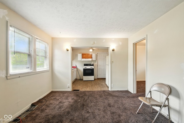 1235 N Grant Ave, Indianapolis, IN 46201 - unfurnished living room with light carpet, baseboards, and a textured ceiling
