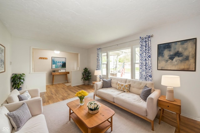 living room with baseboards and wood finished floors
