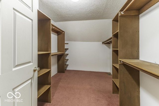 3134 W Hickory Woods Dr, Greenfield, IN 46140 - walk in closet featuring carpet