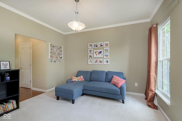 6839 Powder Dr, Indianapolis, IN 46259 - living area with ornamental molding, healthy amount of natural light, carpet flooring, and baseboards