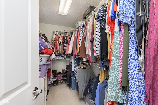 6839 Powder Dr, Indianapolis, IN 46259 - walk in closet with carpet