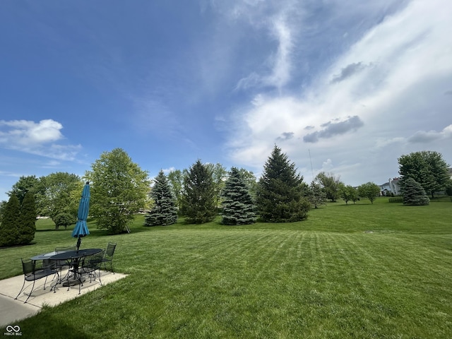 6839 Powder Dr, Indianapolis, IN 46259 - view of grassy yard featuring a patio area