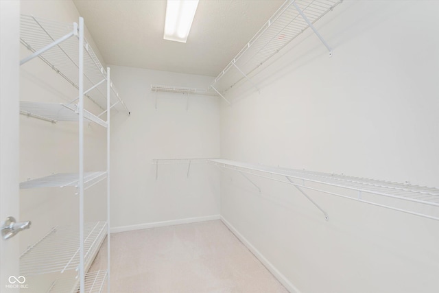 6839 Powder Dr, Indianapolis, IN 46259 - photo 23