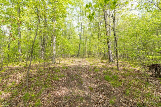 6000 W County Road 700 N, Freetown, IN 47235 - photo 19
