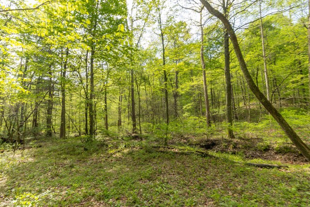 6000 W County Road 700 N, Freetown, IN 47235 - photo 9