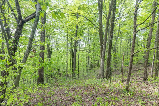 6000 W County Road 700 N, Freetown, IN 47235 - photo 3