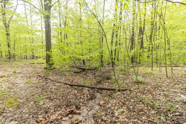 6000 W County Road 700 N, Freetown, IN 47235 - photo 14