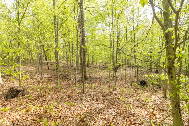 6000 W County Road 700 N, Freetown, IN 47235 - photo 8