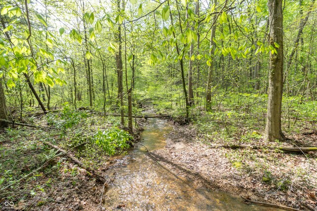 6000 W County Road 700 N, Freetown, IN 47235 - photo 13