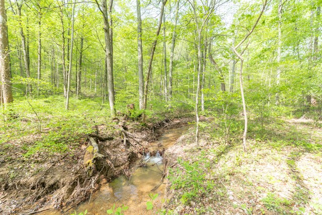 6000 W County Road 700 N, Freetown, IN 47235 - photo 10