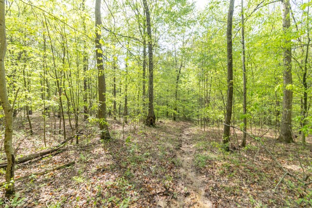 6000 W County Road 700 N, Freetown, IN 47235 - photo 7